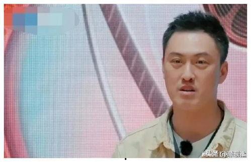 娱乐圈吃瓜侠